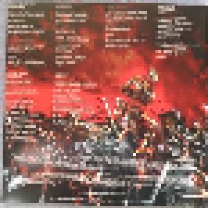 Sacred Steel: Hammer Of Destruction (LP) - Bild 3