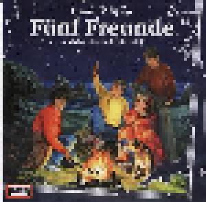 Fünf Freunde: (087) ...Und Das Rätselhafte Sternbild - Cover