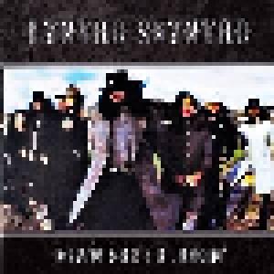 Lynyrd Skynyrd: Down South Jukin' - Cover