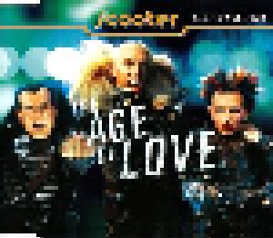 Scooter: Age Of Love, The - Cover