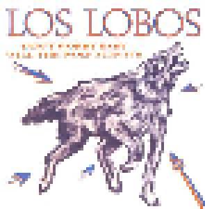 Los Lobos: Don't Worry Baby - Cover