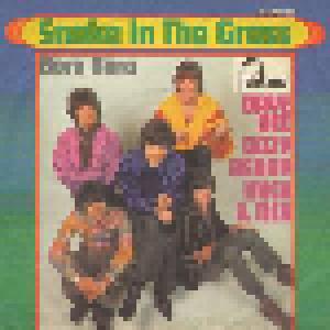 Dave Dee, Dozy, Beaky, Mick & Tich: Snake In The Grass - Cover