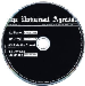 Ayreon: Elected (Mini-CD / EP) - Bild 5
