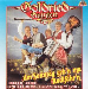 Goldried Quintett: Am Sonntag Gehn Ma Radl Fahrn - Cover
