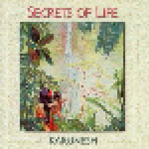 Karunesh: Secrets Of Life - Cover