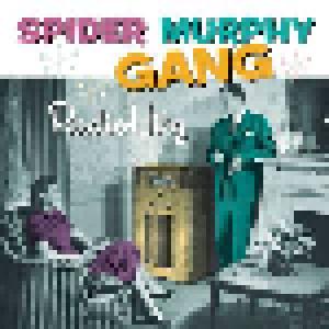 Spider Murphy Gang: Radio Hitz - Cover
