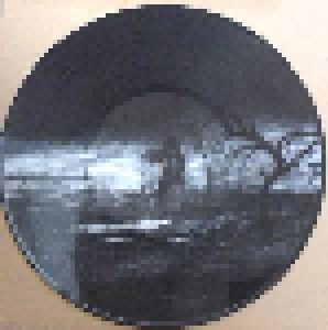 Burzum: 1992-1997 (6-PIC-LP) - Bild 3