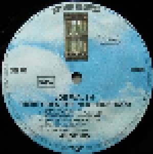 Joe Walsh: There Goes The Neighborhood (LP) - Bild 2