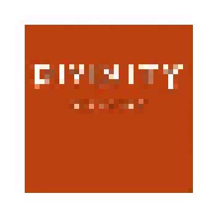 Divinity: Allegory (CD) - Bild 1