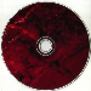 Dark Funeral: Diabolis Interium (2-CD) - Bild 6