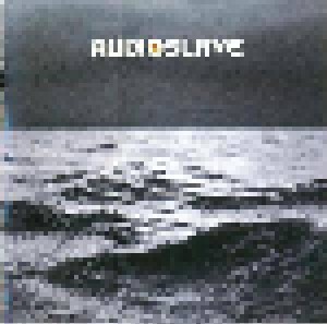 Audioslave: Out Of Exile (CD) - Bild 1