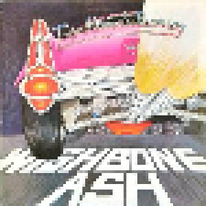 Wishbone Ash: Twin Barrels Burning - Cover