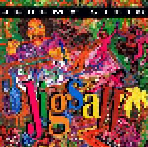 Jeremy Steig: Jigsaw - Cover