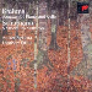 Robert Schumann, Johannes Brahms: Sonatas For Piano And Cello // 5 Stücke Im Volkston - Cover