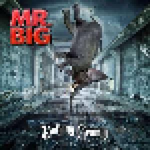 Mr. Big: Defying Gravity - Cover