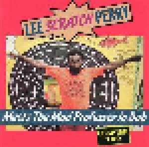 Lee "Scratch" Perry With Mad Professor: Lee Perry Meets The Mad Professor In Dub / Chapter Two - Cover