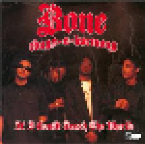 Bone Thugs-N-Harmony: If I Could Teach The World - Cover