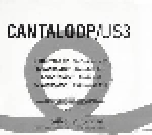 Us3: Cantaloop (Single-CD) - Bild 3