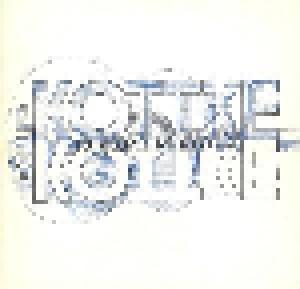 Leo Kottke: 12 String Blues - Cover
