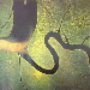 Dead Can Dance: The Serpent's Egg (LP) - Bild 1