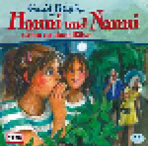 Hanni Und Nanni: (44) Hanni Und Nanni Stehen Vor Einem Rätsel - Cover