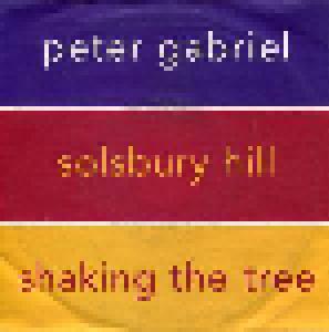 Peter Gabriel: Solsbury Hill / Shaking The Tree - Cover