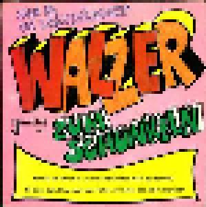 Joe Und Die Partysingers: Walzer Zum Schunkeln - Cover