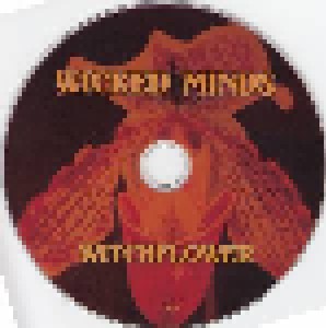 Wicked Minds: Witchflower (CD + DVD) - Bild 5