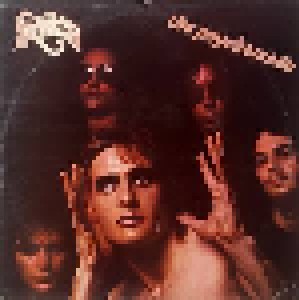 Cockney Rebel: The Psychomodo (LP) - Bild 1