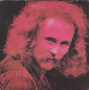 David Crosby: If I Could Only Remember My Name (LP) - Bild 4