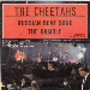 The Cheetahs: Russian Beat Song - Cover