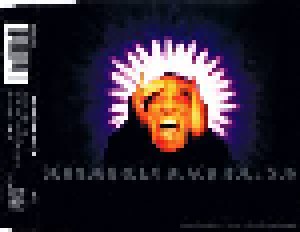 Soundgarden: Black Hole Sun (Single-CD) - Bild 2