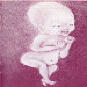 Embryo: Ni Hau (CD) - Bild 6