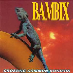Bambix: Crossing Common Borders - Cover