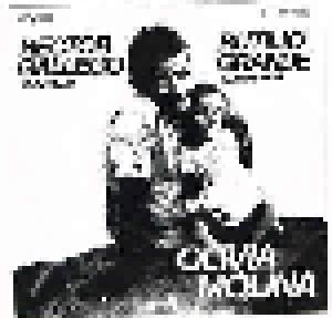 Olivia Molina: Corrido De Hector Gallego - Cover
