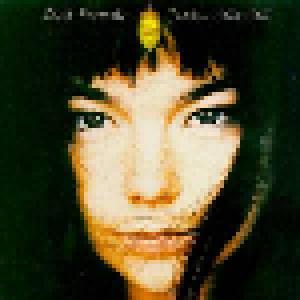 Björk: Quiet Fireworks (Rarities 1993-1997) - Cover