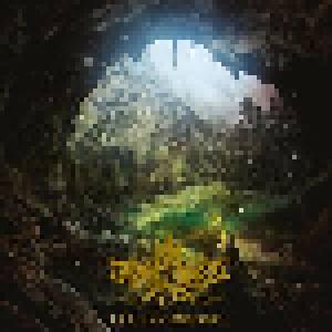 Druadan Forest: Lost Dimension, The - Cover