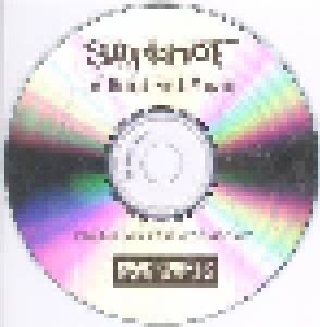 Slipknot: Left Behind (Promo-Single-CD-R) - Bild 2