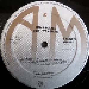Rick Wakeman: Rhapsodies (2-LP) - Bild 3