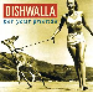 Dishwalla: Pet Your Friends - Cover