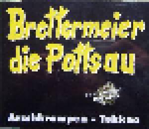 Dietmar Wischmeyer & Oliver Kalkofe: Brettermeier Die Pottsau (Arschkrampen-Tekkno) - Cover