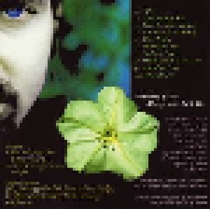 Ty Tabor: Moonflower Lane (CD) - Bild 4