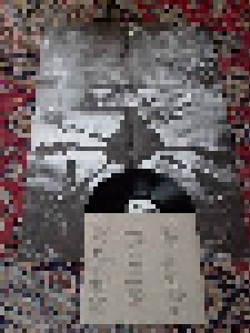 Bone Awl: Meaningless Leaning Mess (LP) - Bild 1