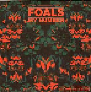 Foals: My Number - Cover
