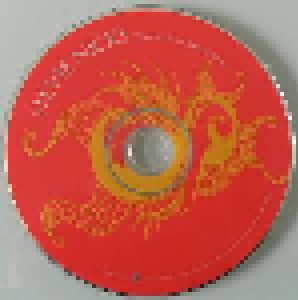 Stevie Nicks: Trouble In Shangri-La (CD) - Bild 6