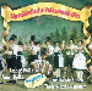  Unbekannt: Alpenländische Volksmusik Hits - Cover