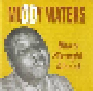 Muddy Waters: Blues Straight Ahead (CD) - Bild 1