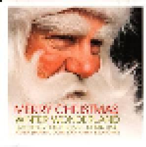 Merry Christmas Winter Wonderland - Cover