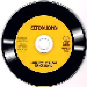 Elton John: Goodbye Yellow Brick Road (CD) - Bild 3