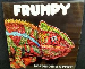 Frumpy: Roadriding Gypsy - Cover